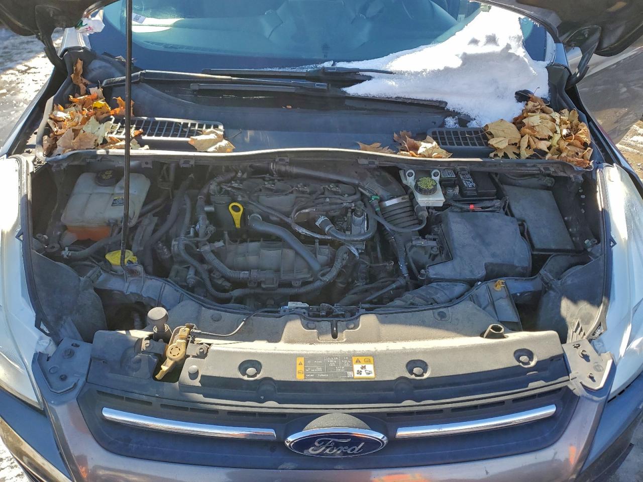 2013 FORD ESCAPE SE photo 12