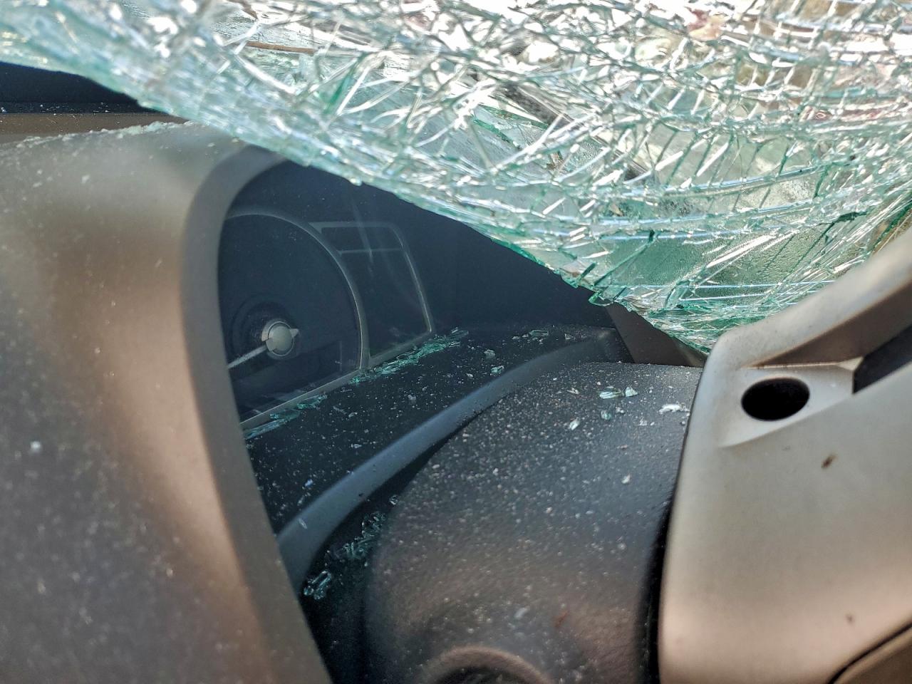 2008 HONDA CIVIC EXL photo 25