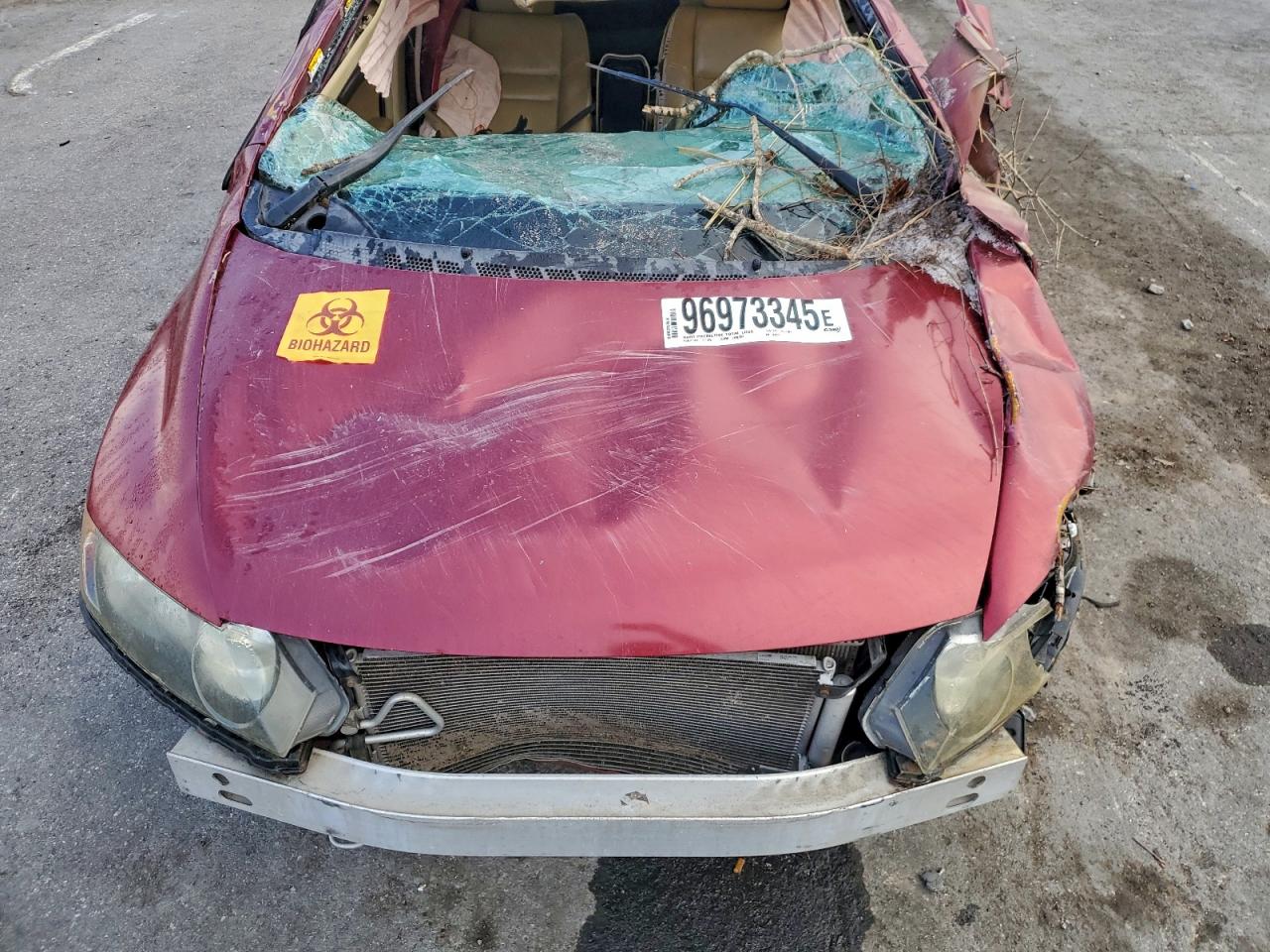 2008 HONDA CIVIC EXL photo 31