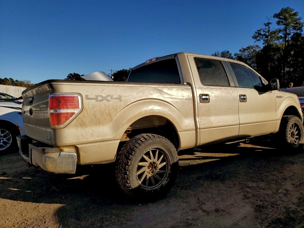 2010 FORD F150 SUPERCREW photo 3