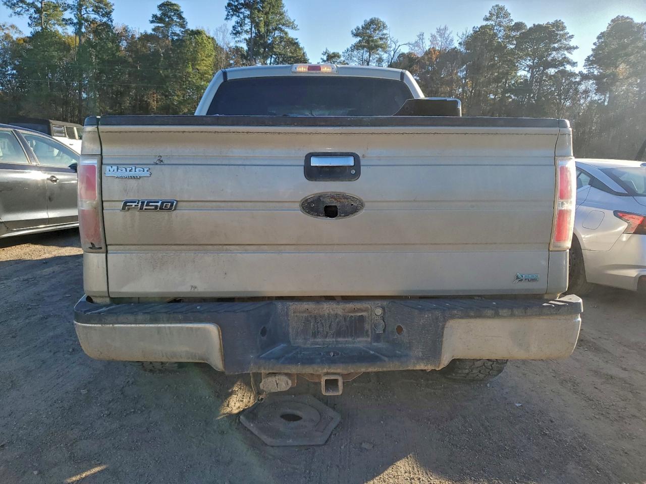 2010 FORD F150 SUPERCREW photo 6