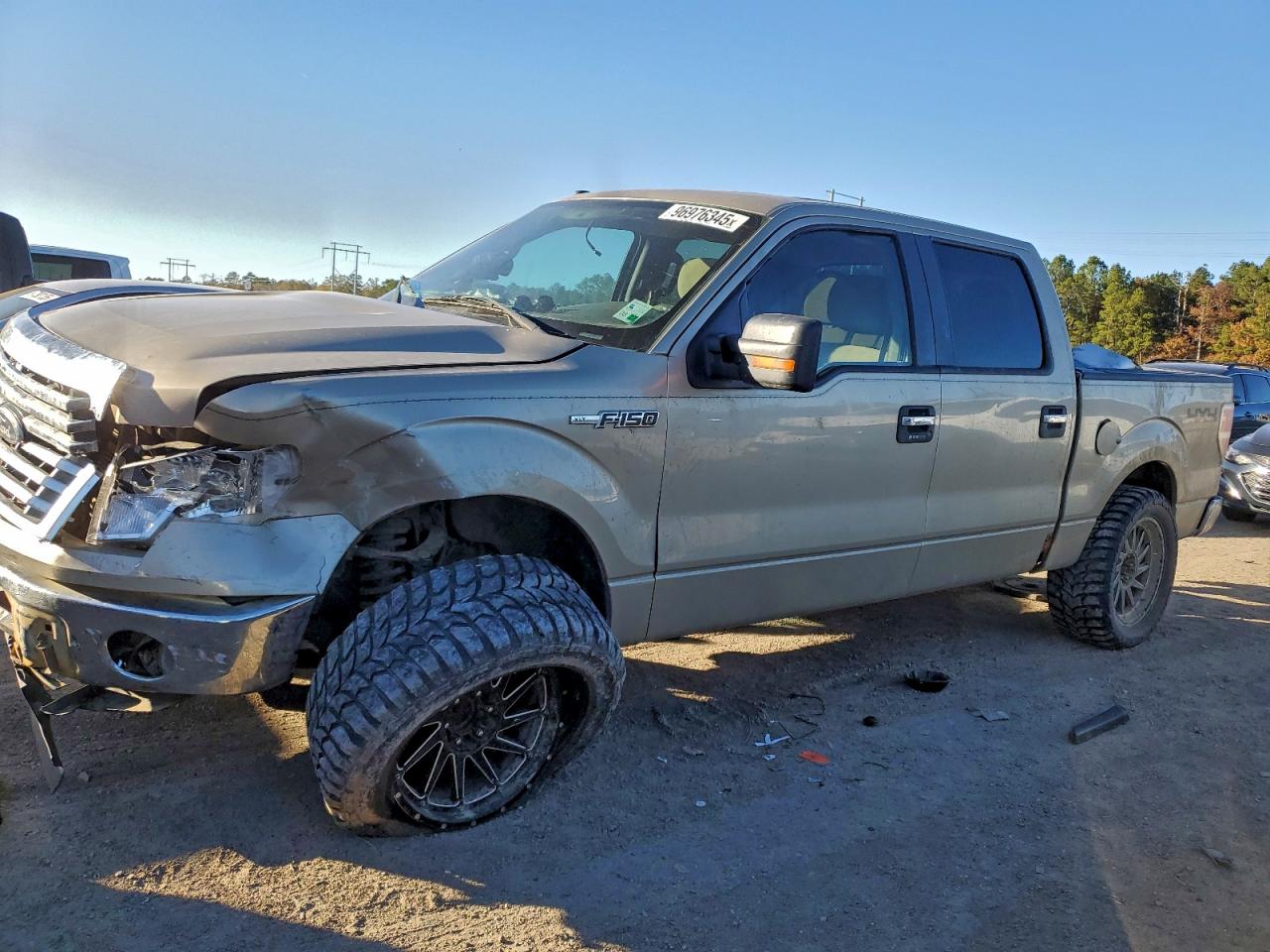 2010 FORD F150