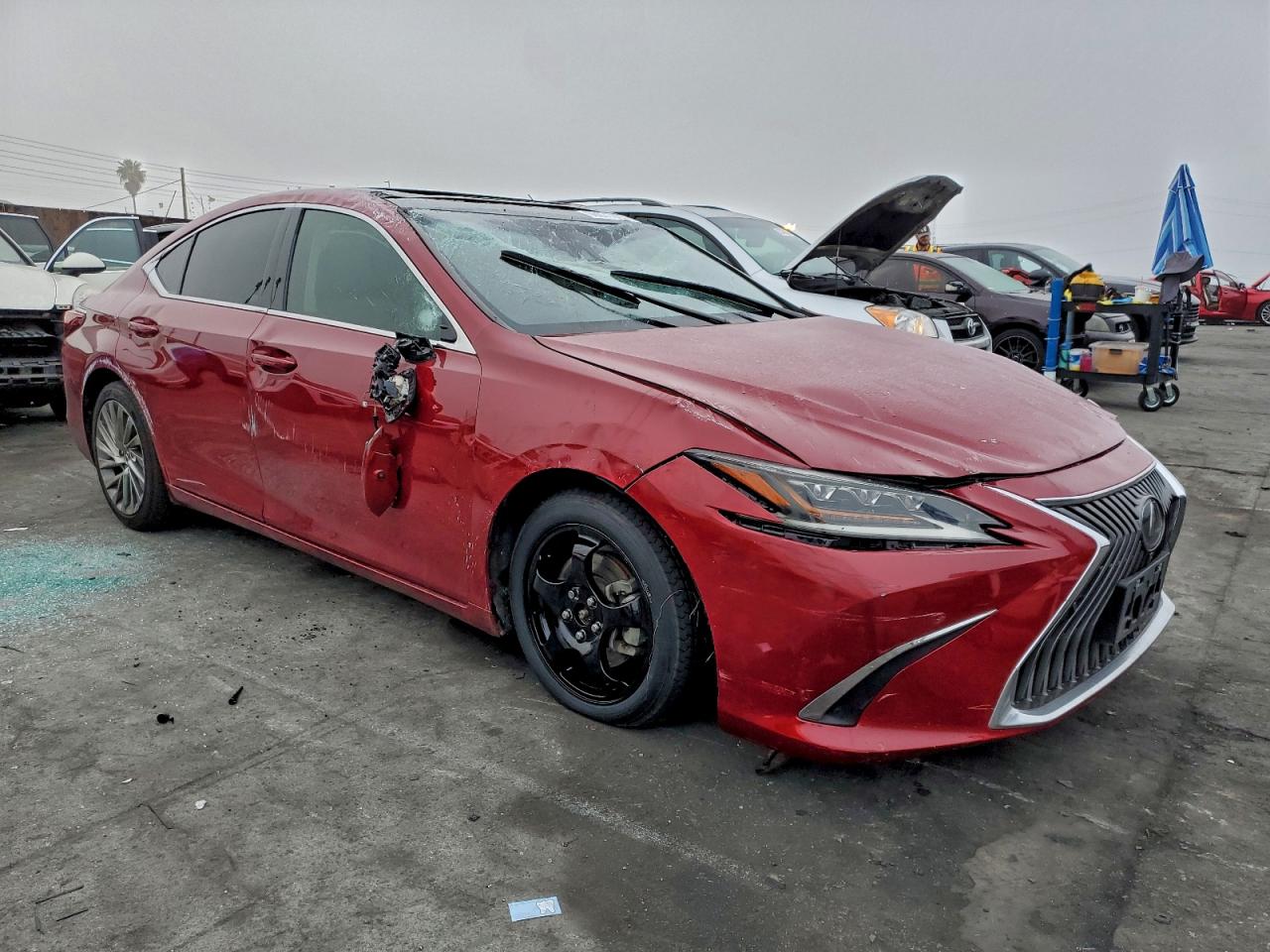 2019 LEXUS ES 350 photo 4