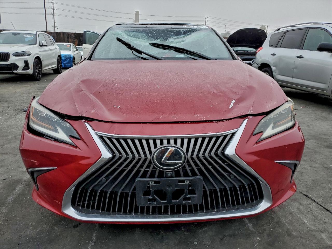 2019 LEXUS ES 350 photo 5