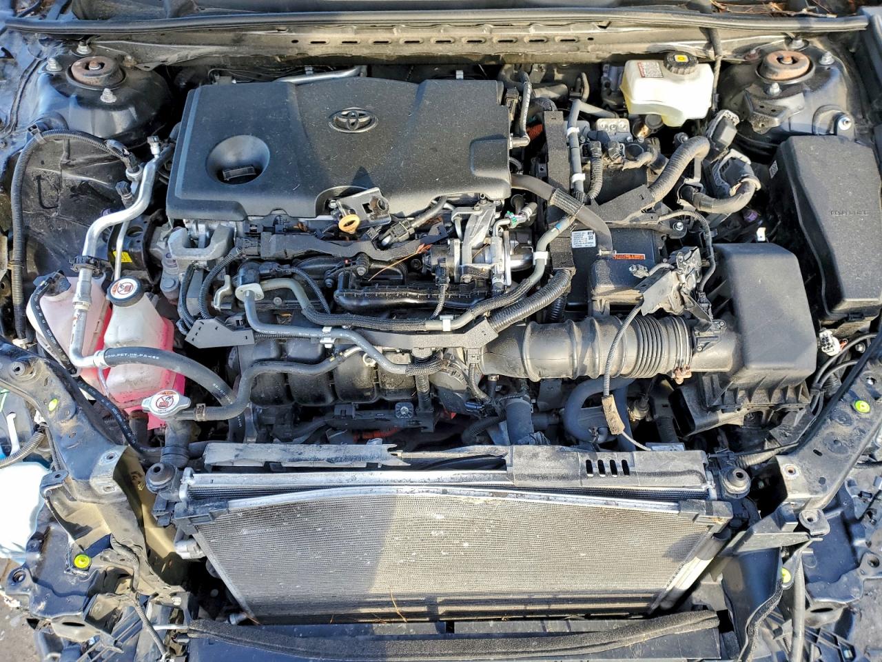 2019 TOYOTA CAMRY LE photo 31
