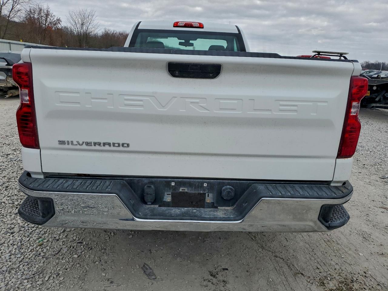 2019 CHEVROLET SILVERADO C1500 photo 16