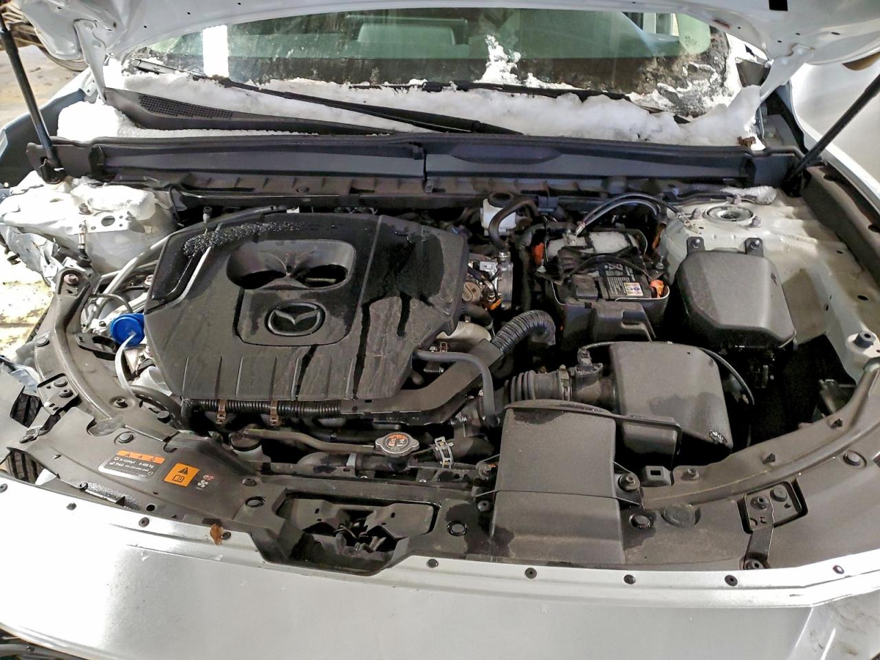 2025 MAZDA CX-50 PREMIUM photo 12