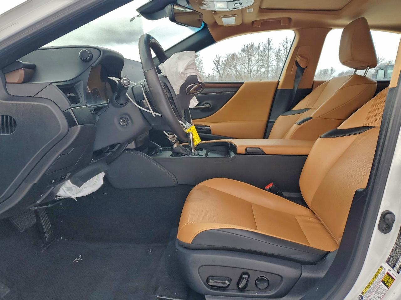2023 LEXUS ES 250 BASE photo 19