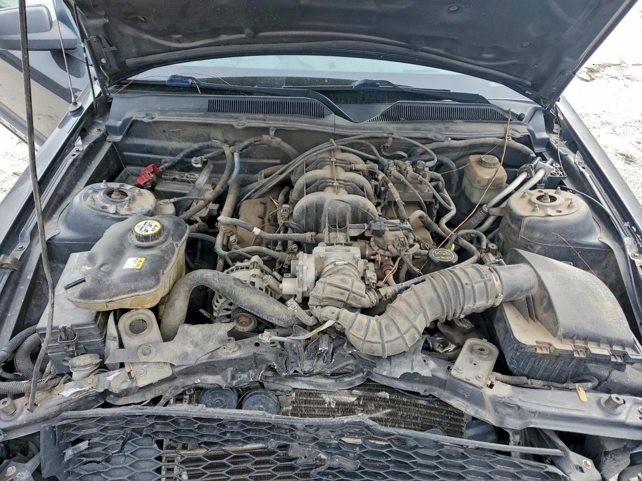 2007 FORD MUSTANG photo 11