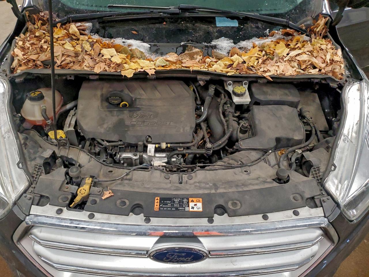2017 FORD ESCAPE SE photo 34