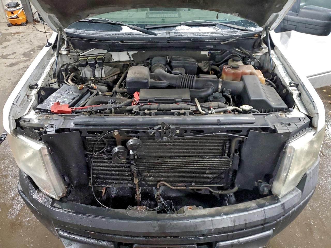 2010 FORD F150 photo 11