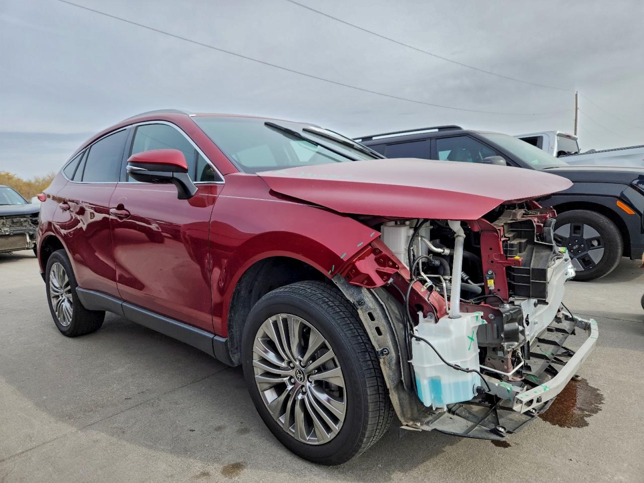 2023 TOYOTA VENZA LE photo 4