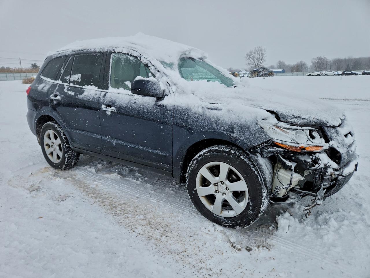 2009 HYUNDAI SANTA FE SE photo 10