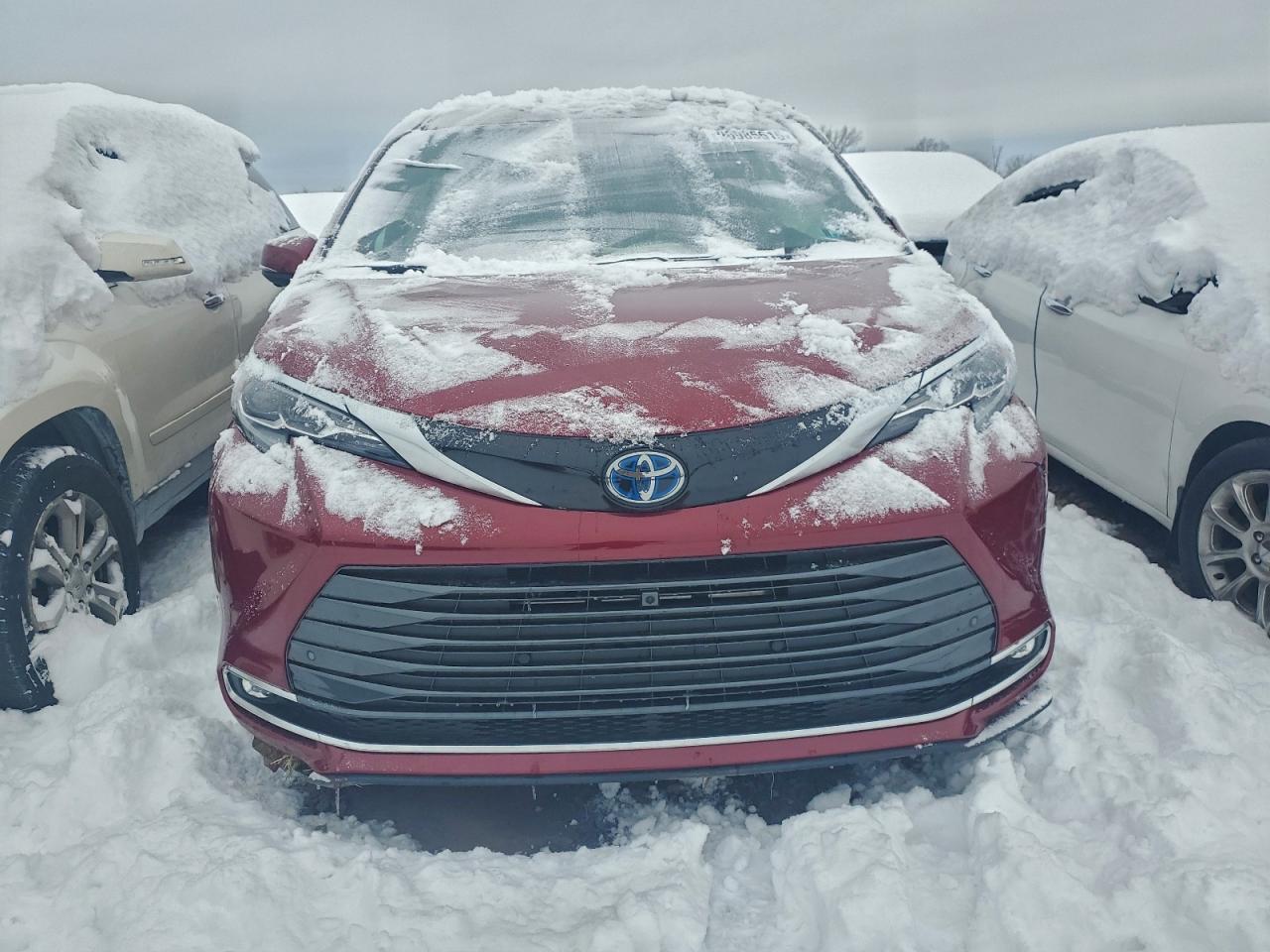 2025 TOYOTA SIENNA LIMITED photo 5