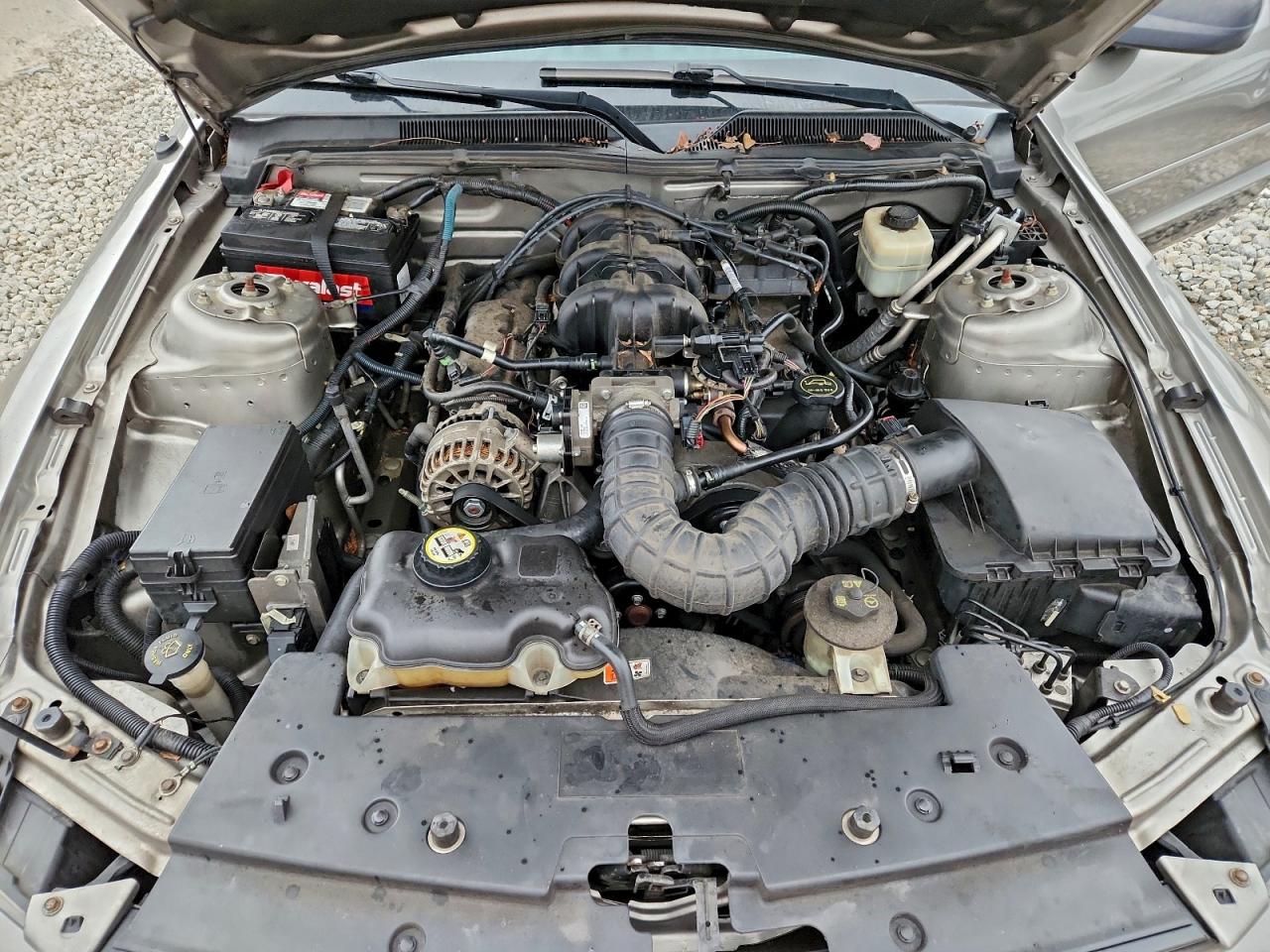 2008 FORD MUSTANG photo 11