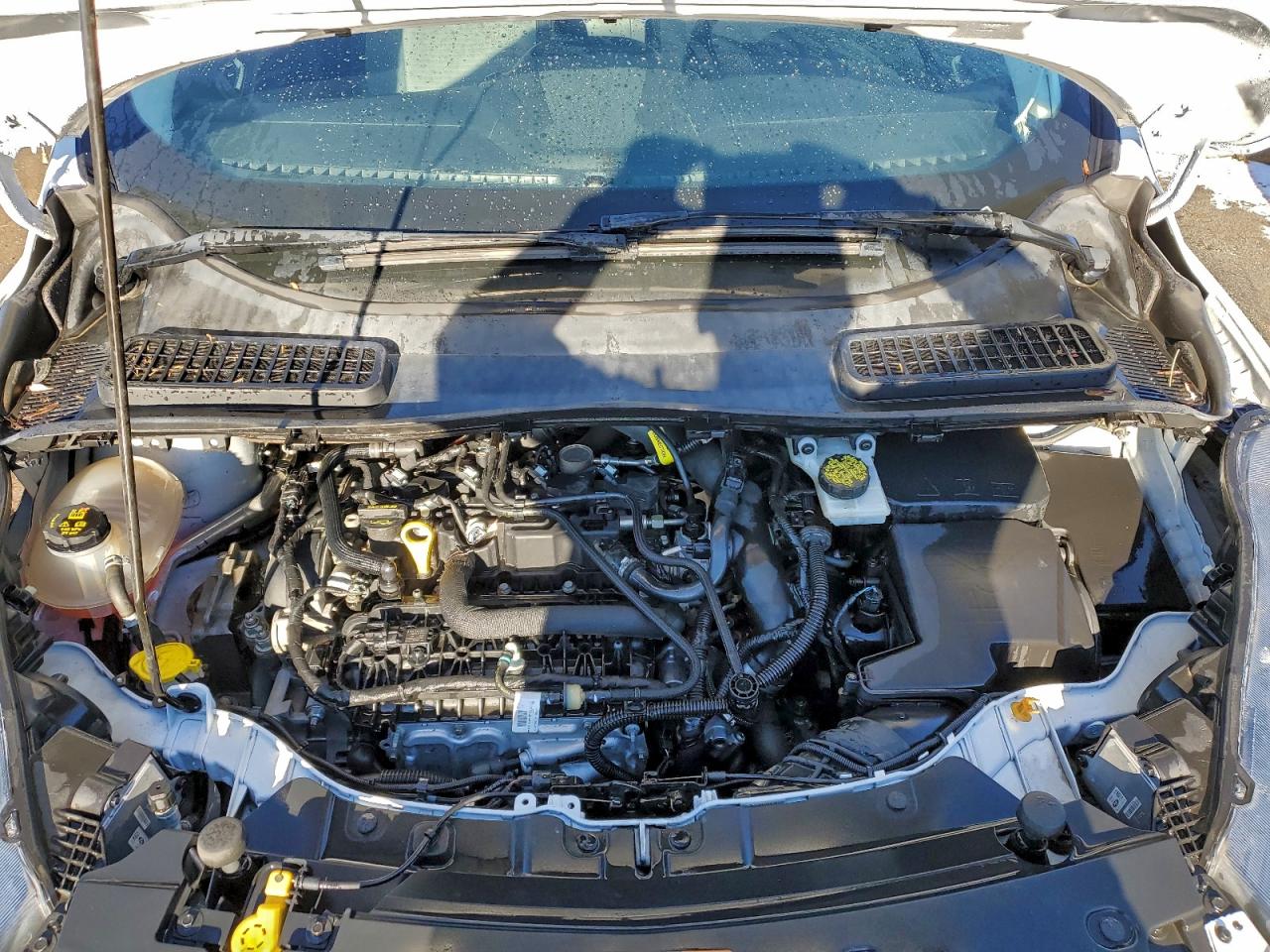2019 FORD ESCAPE SE photo 12