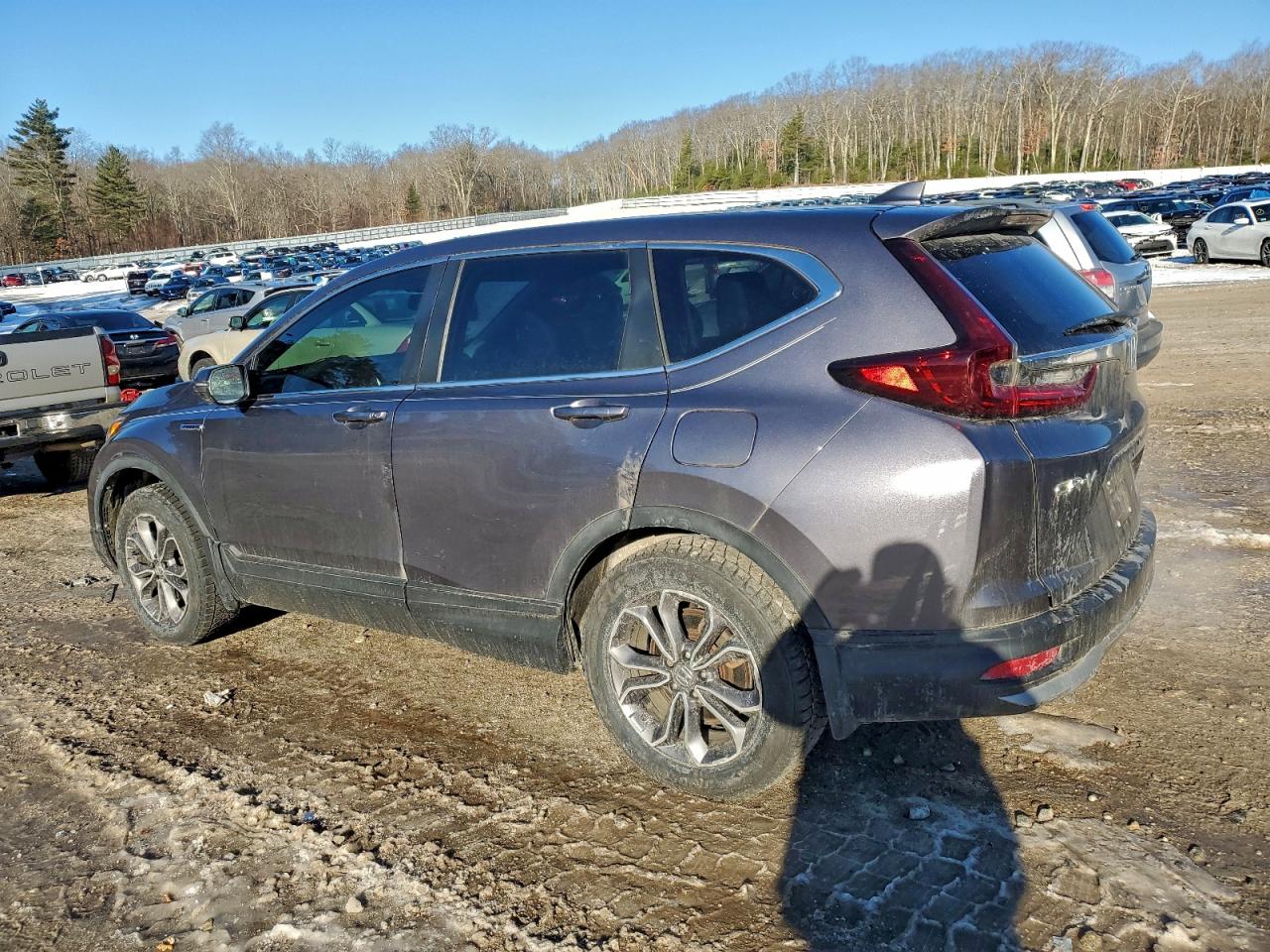 2020 HONDA CR-V EXL photo 3