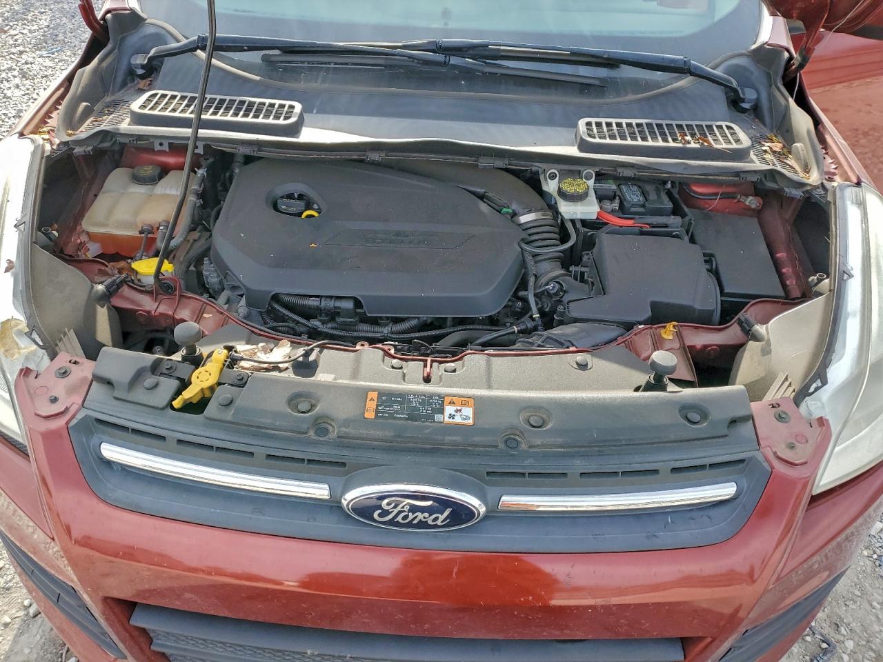 2014 FORD ESCAPE SE photo 12