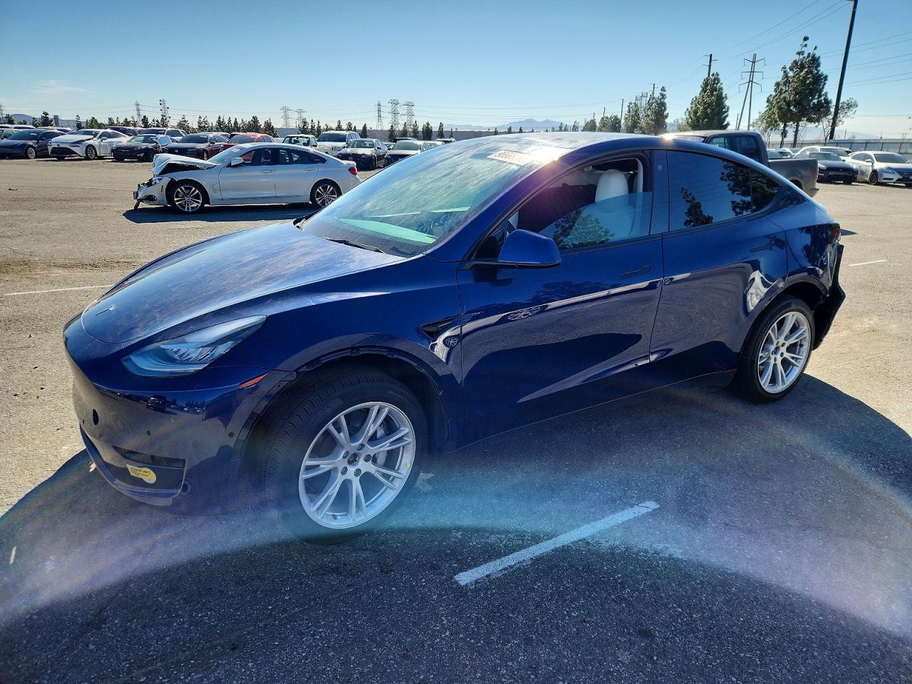 2021 TESLA MODEL Y