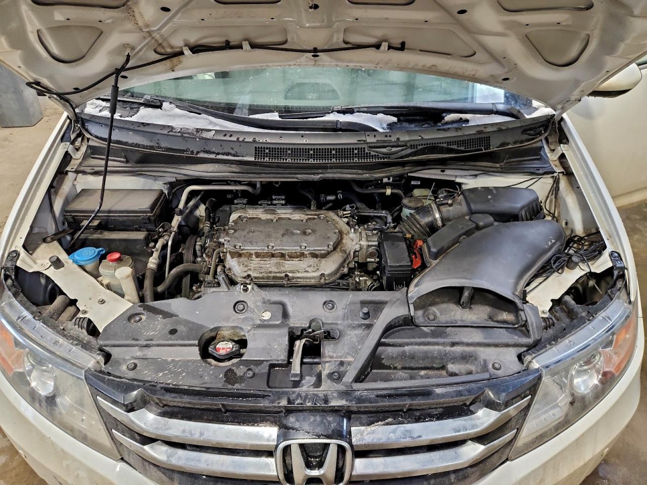 2014 HONDA ODYSSEY EXL photo 12