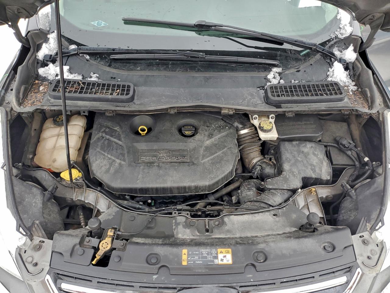 2014 FORD ESCAPE TITANIUM photo 12