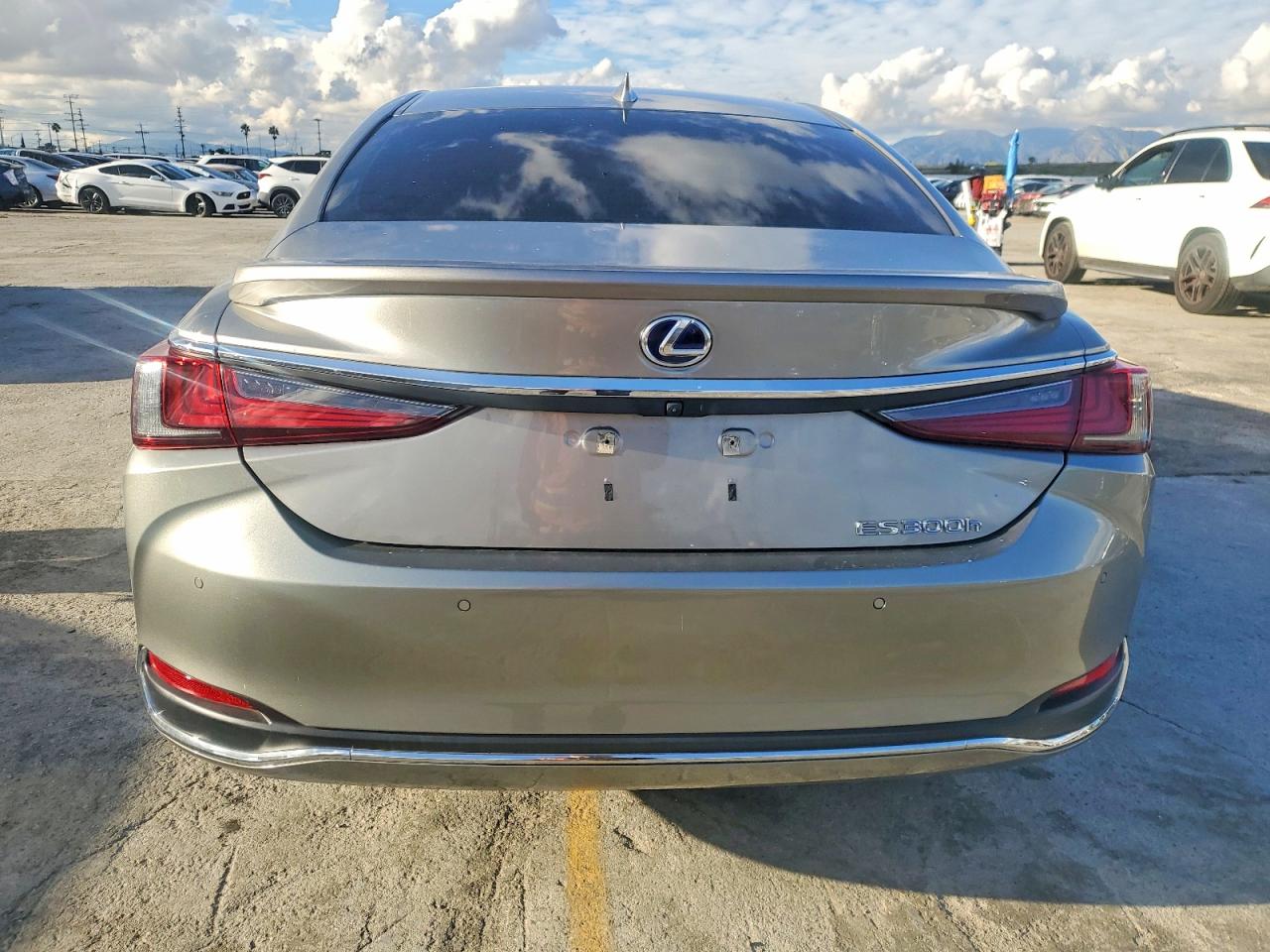 2020 LEXUS ES 300H photo 6