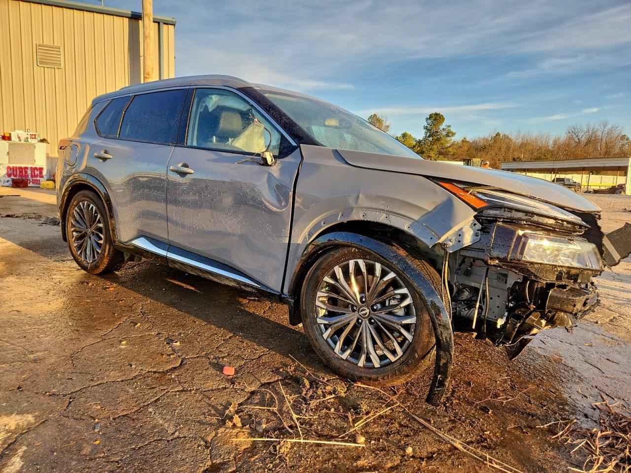 2025 NISSAN ROGUE PLATINUM photo 4