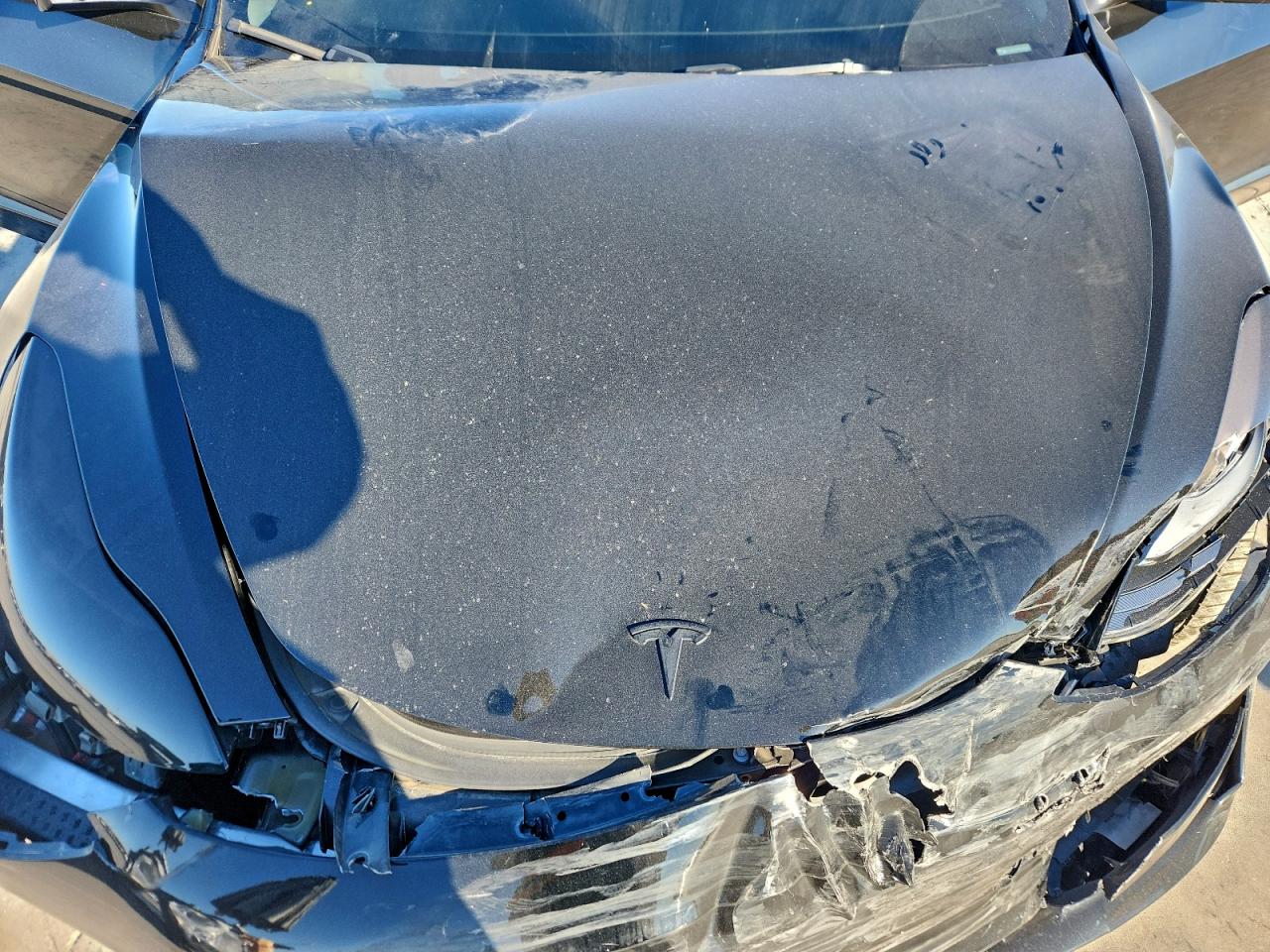 2023 TESLA MODEL 3 photo 11