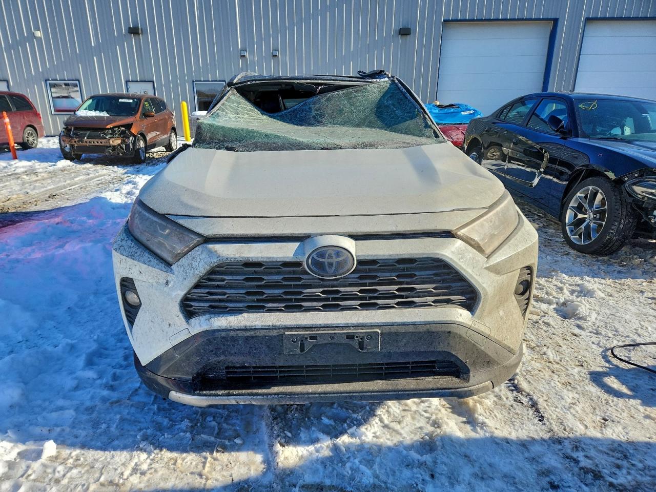 2019 TOYOTA RAV4 XSE photo 5