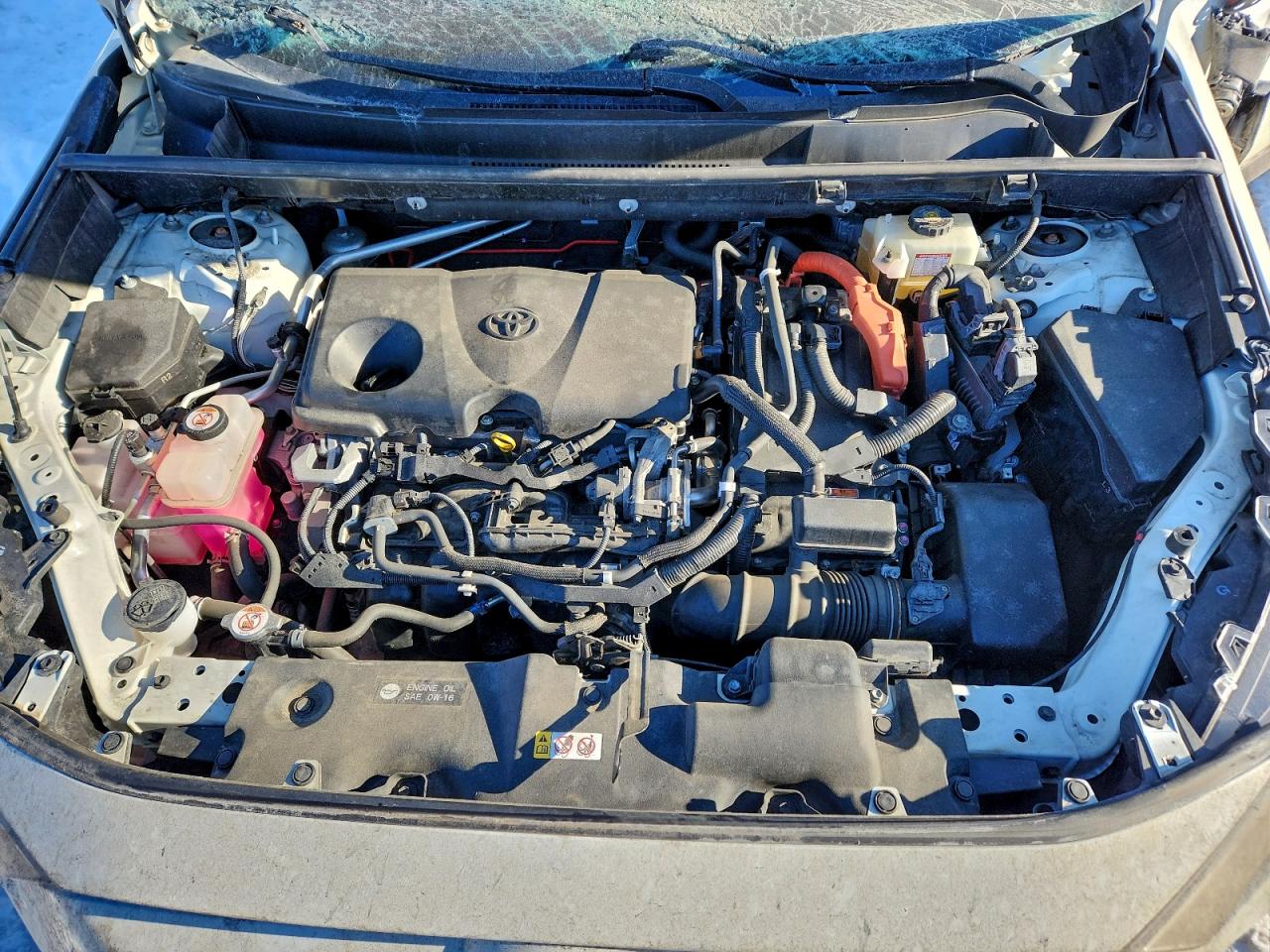 2019 TOYOTA RAV4 XSE photo 12