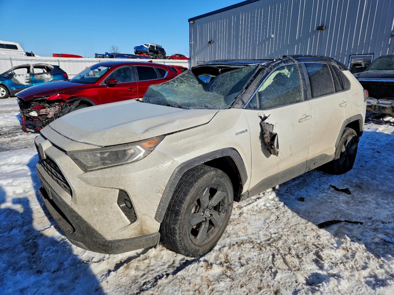 2019 TOYOTA RAV4
