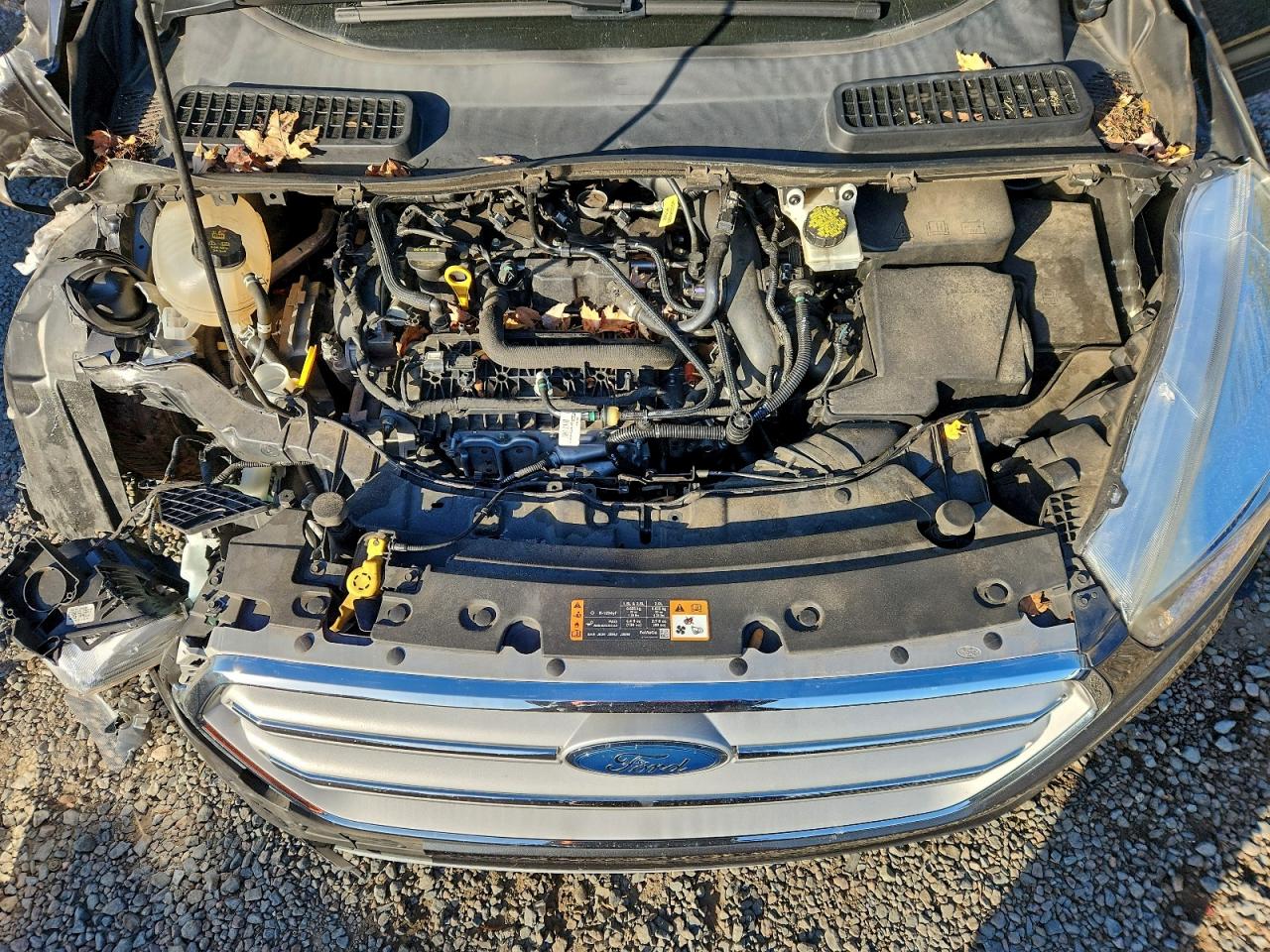 2019 FORD ESCAPE SE photo 41