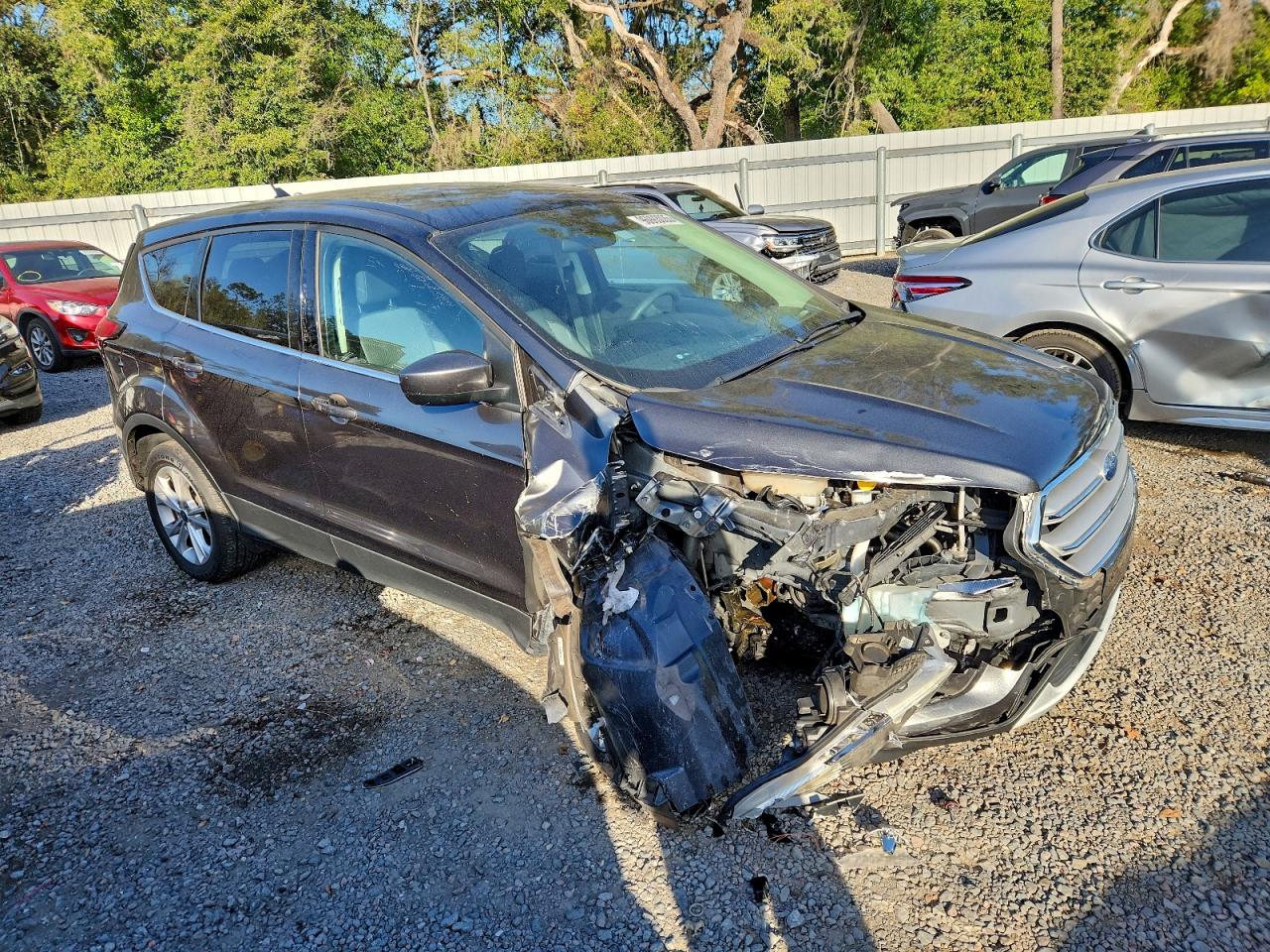 2019 FORD ESCAPE SE photo 13