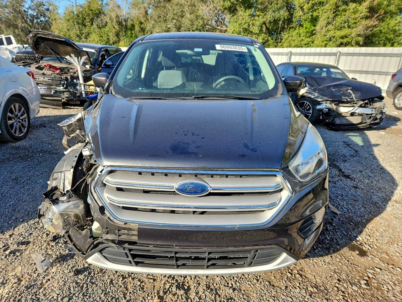 2019 FORD ESCAPE SE photo 17