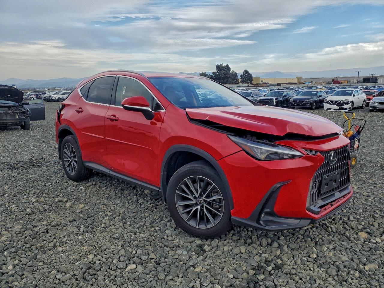 2022 LEXUS NX 350H photo 7