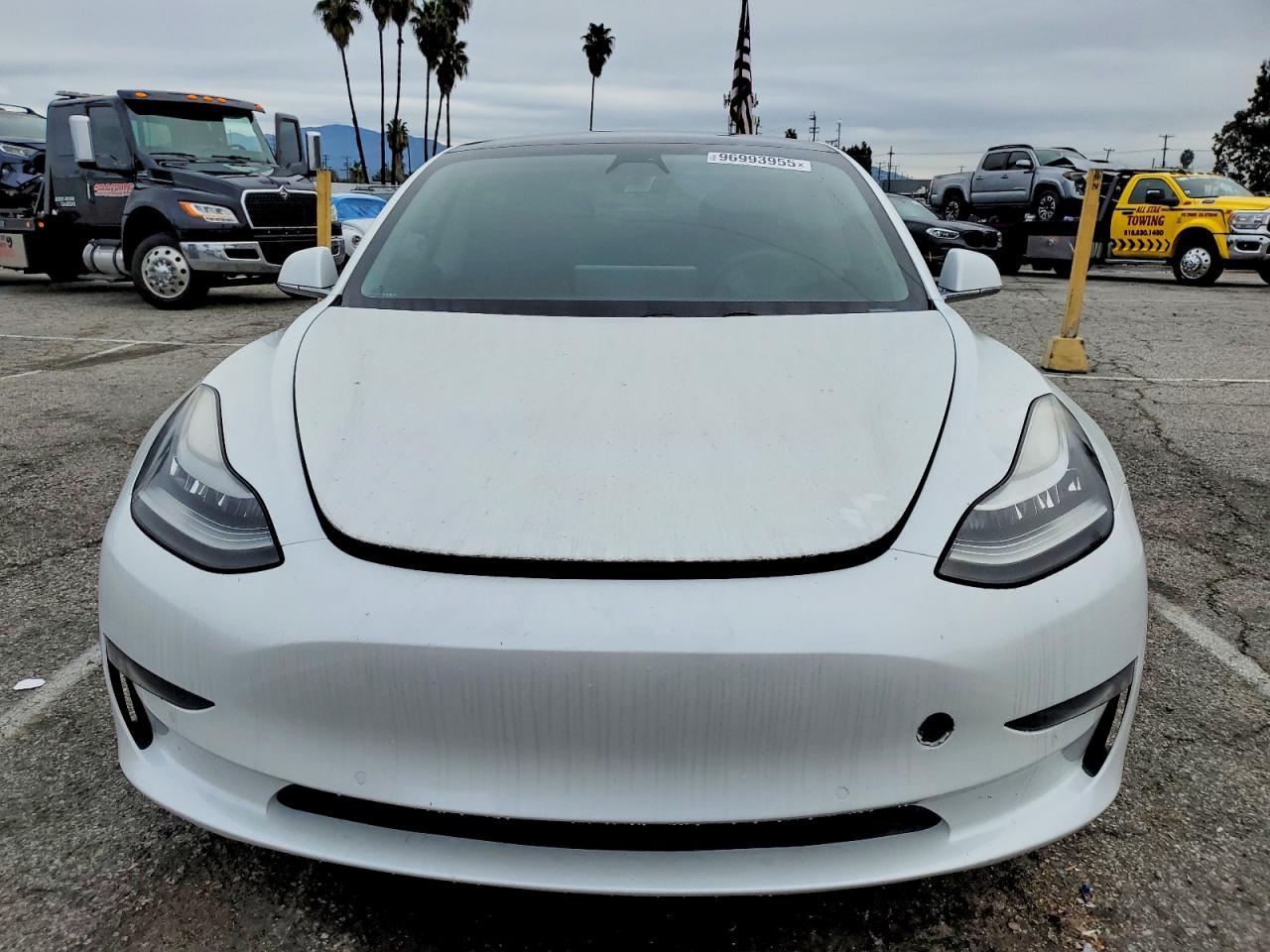 2019 TESLA MODEL 3 photo 9