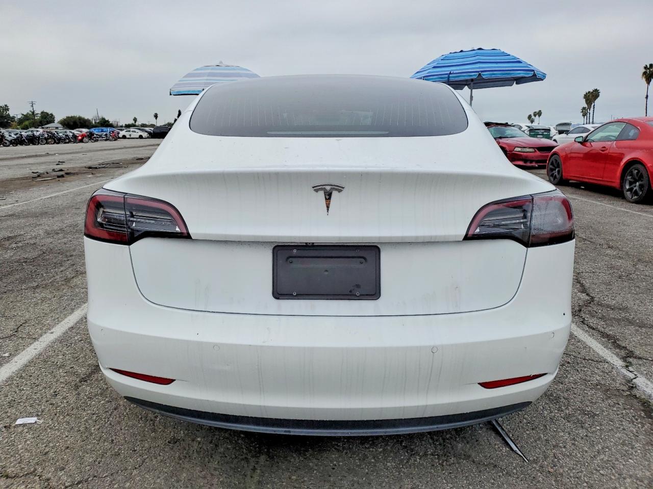 2019 TESLA MODEL 3 photo 11