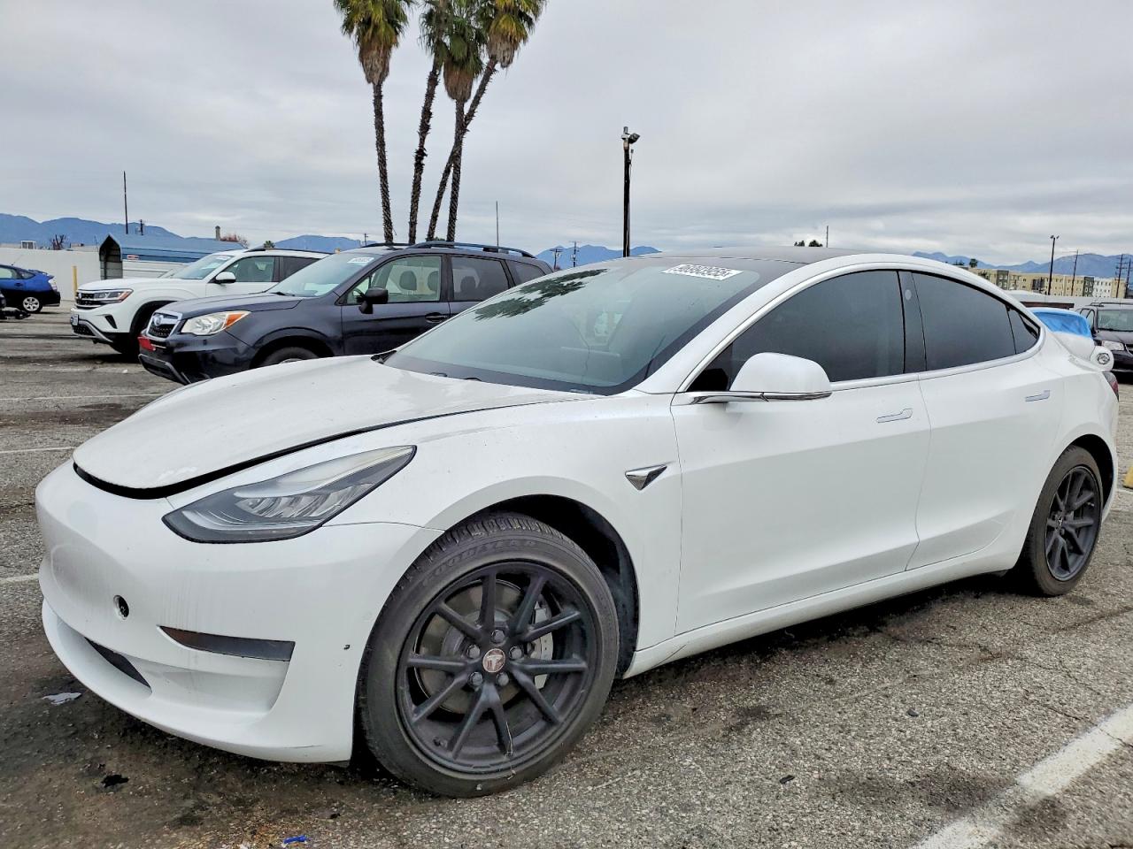 2019 TESLA MODEL 3