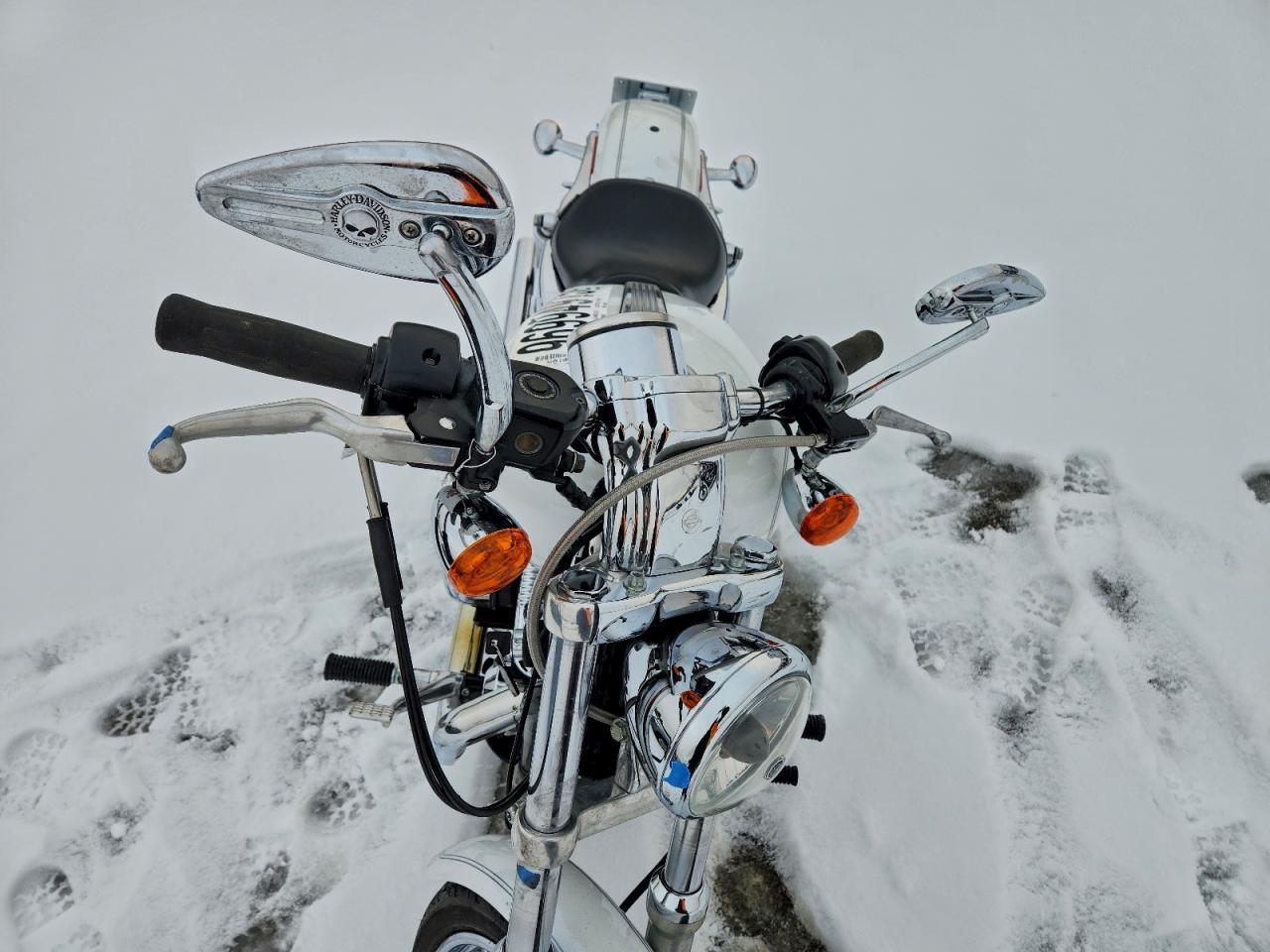 2006 HARLEY-DAVIDSON XL1200 C photo 9