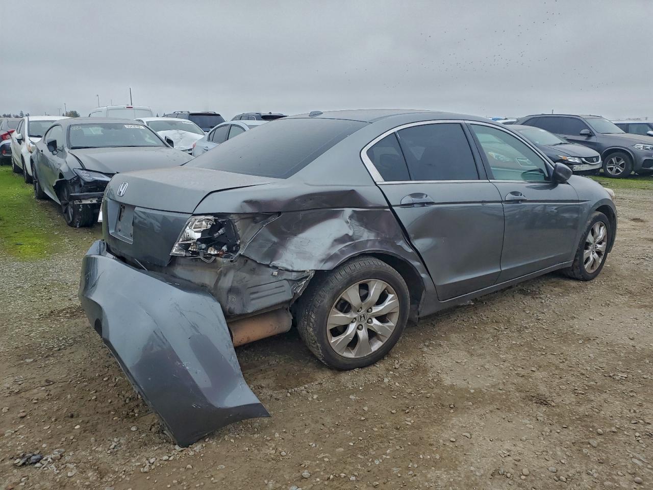 2008 HONDA ACCORD EXL photo 5