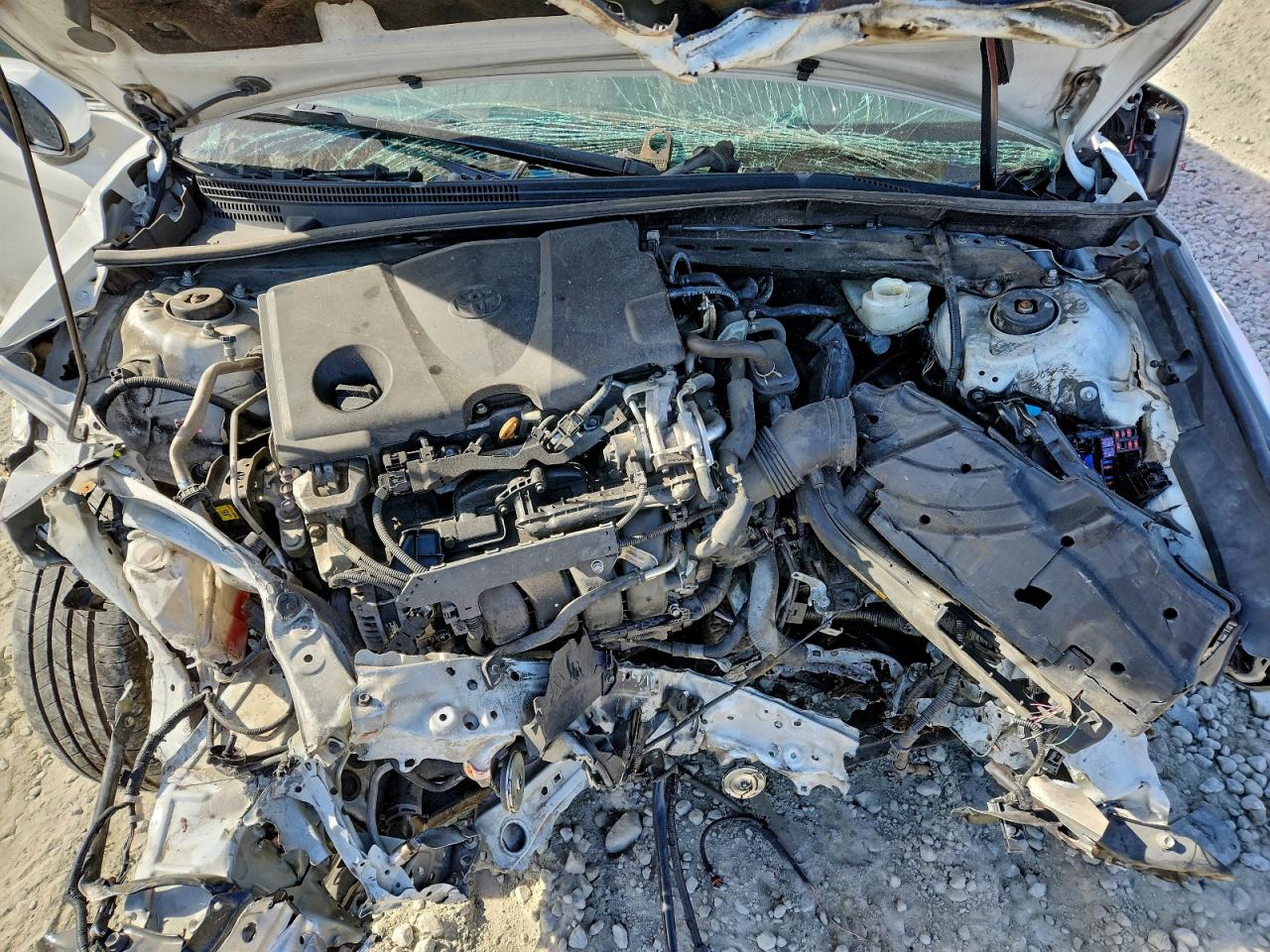 2020 TOYOTA CAMRY LE photo 11