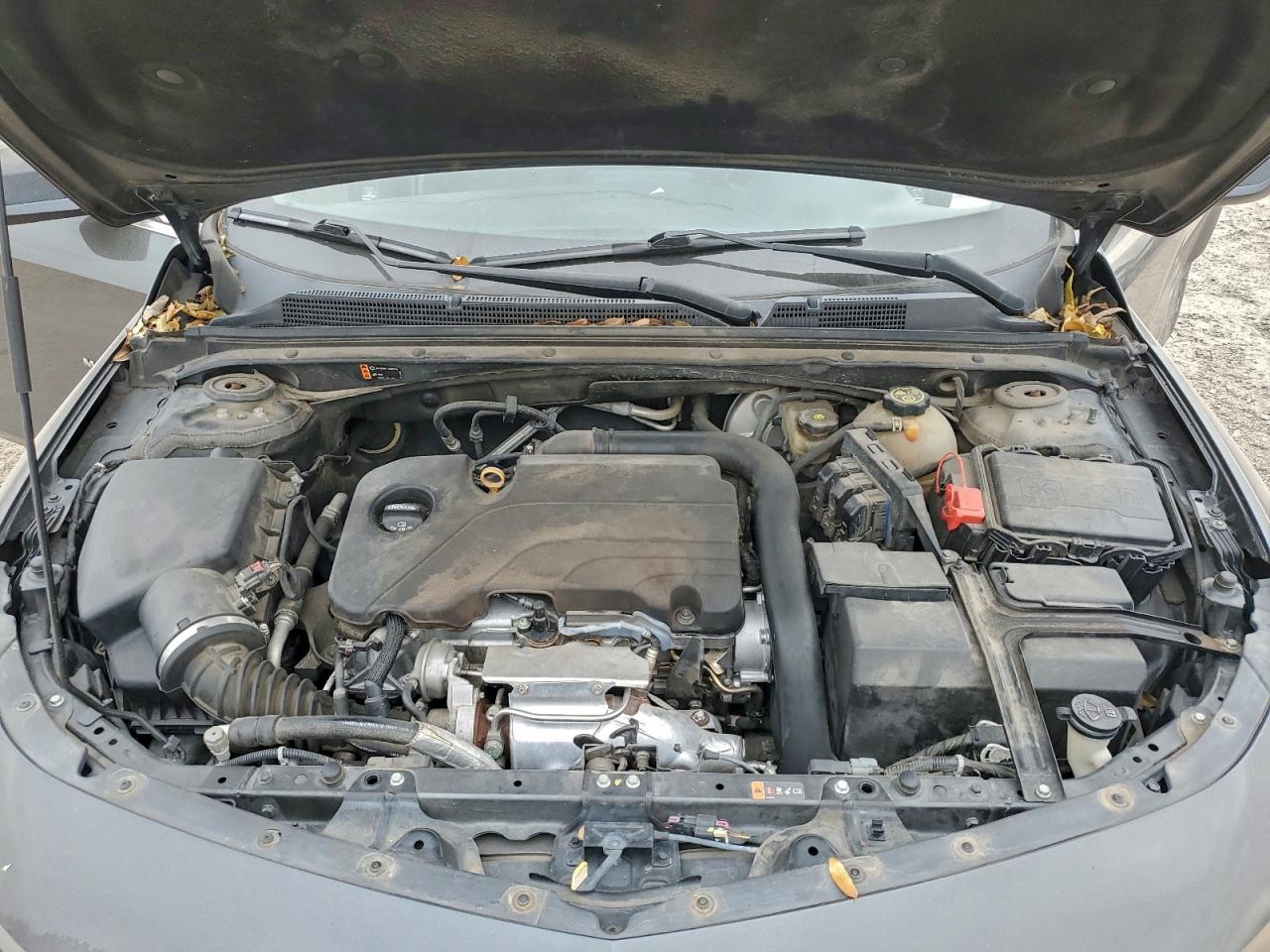 2017 CHEVROLET MALIBU LS photo 11