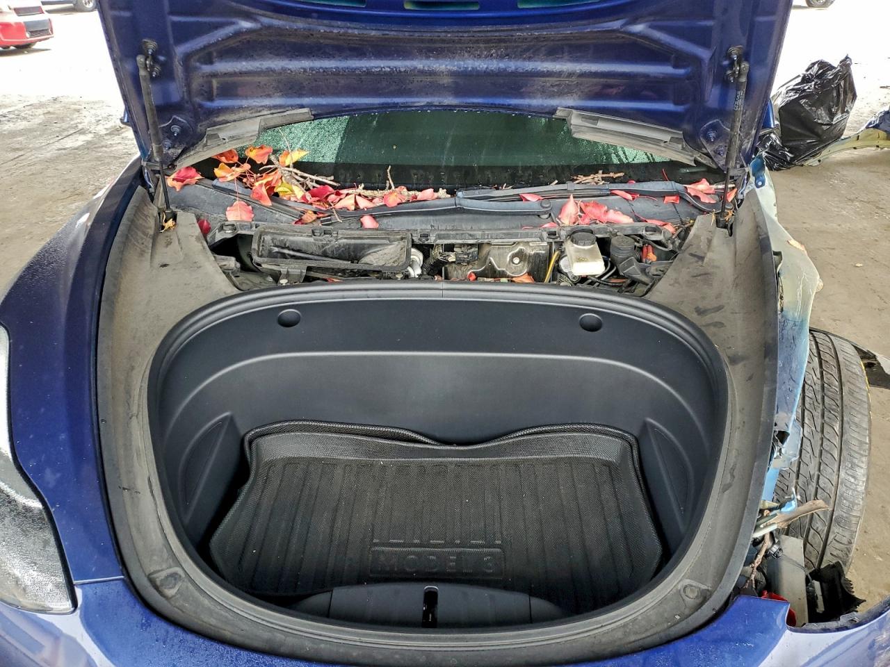 2022 TESLA MODEL 3 photo 11