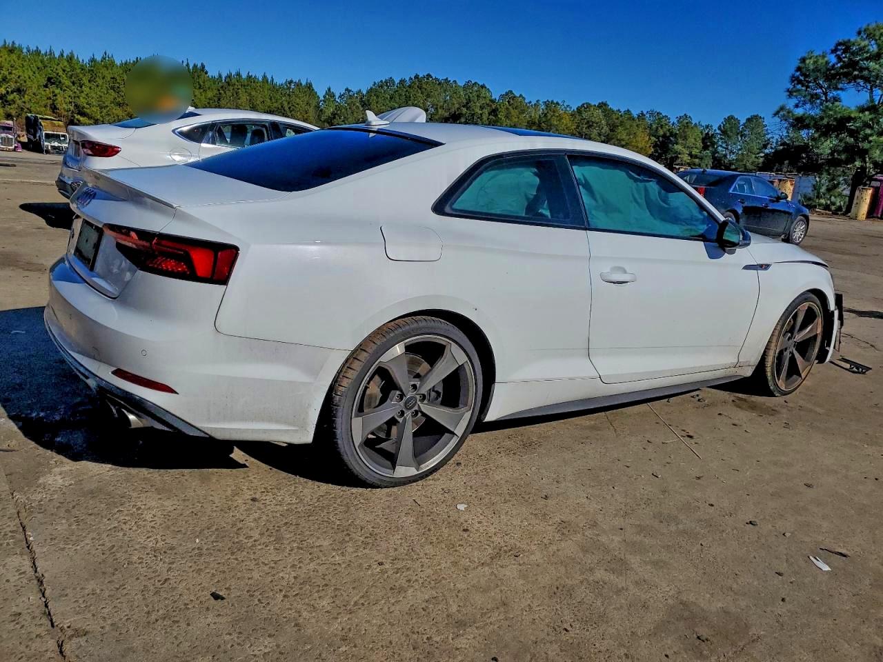 2019 AUDI S5 PREMIUM PLUS photo 7