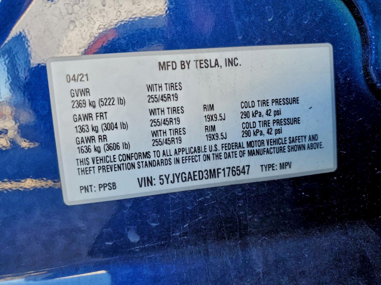 2021 TESLA MODEL Y photo 13