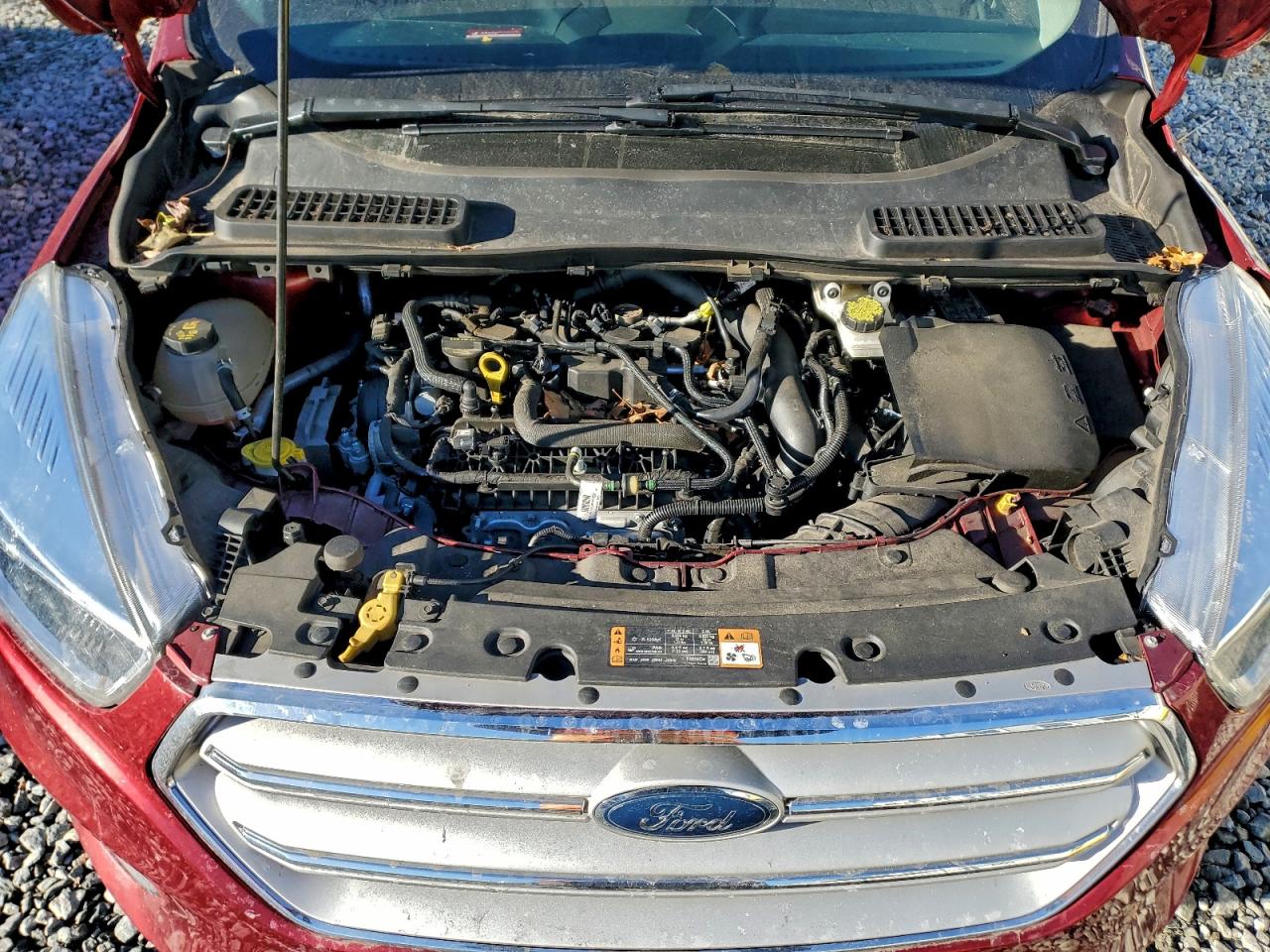 2019 FORD ESCAPE SE photo 23