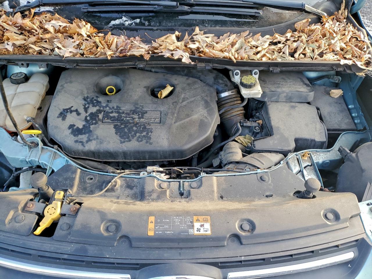 2013 FORD ESCAPE SE photo 23