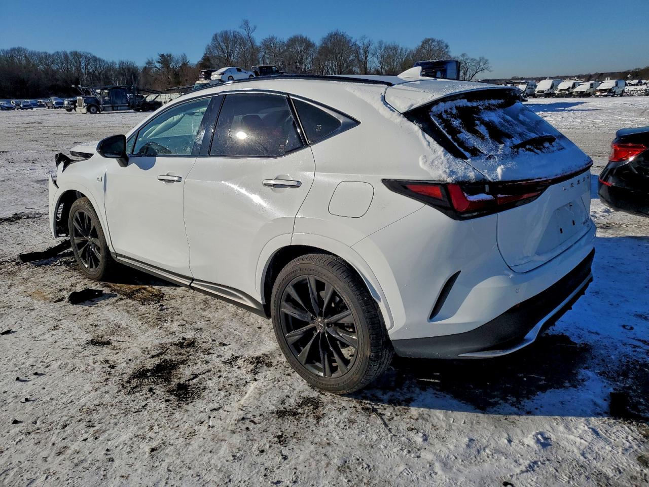 2024 LEXUS NX 450H LUXURY photo 2