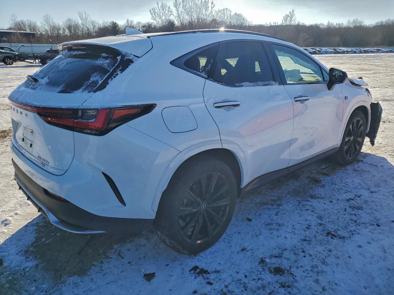 2024 LEXUS NX 450H LUXURY photo 3