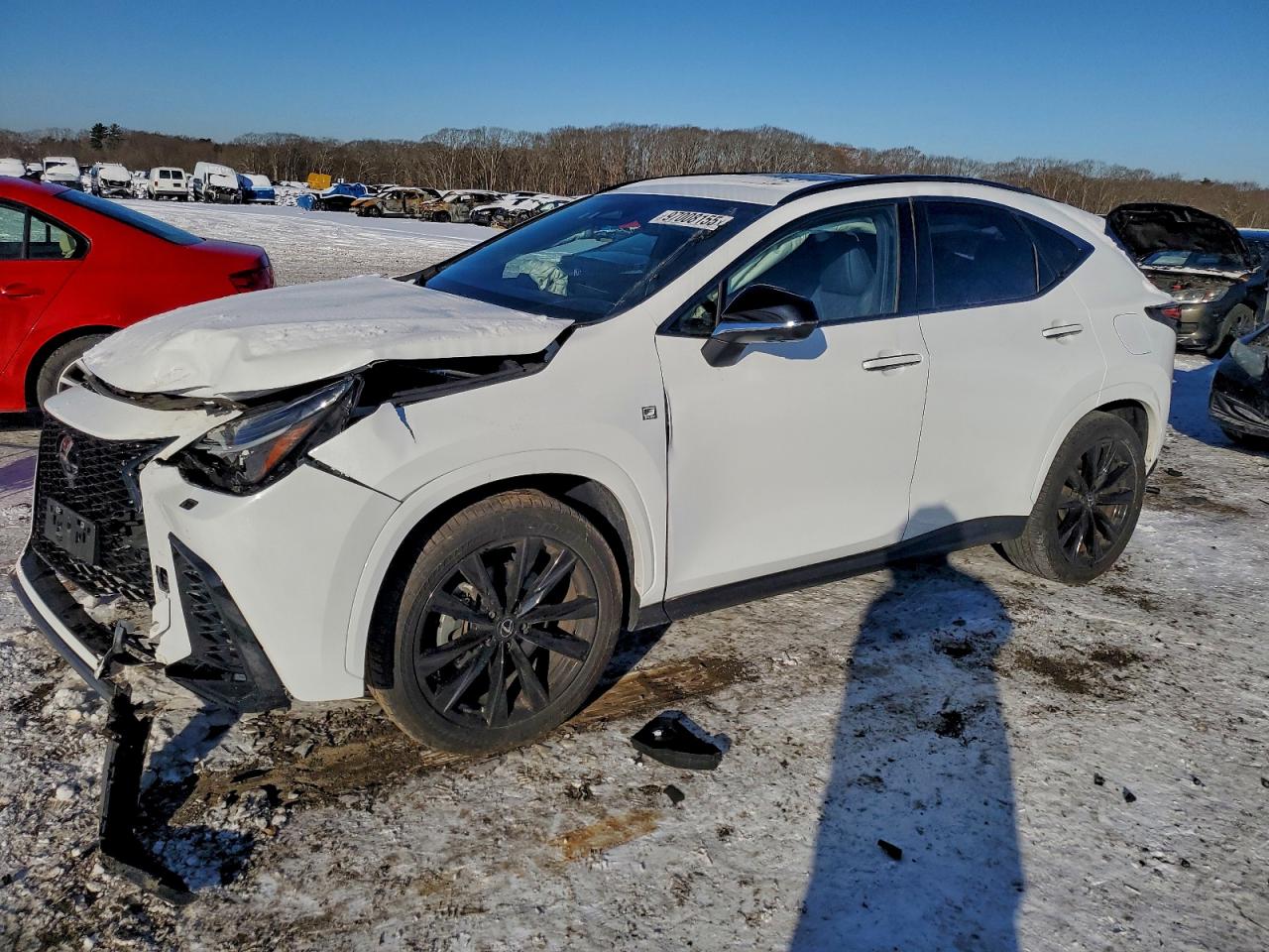 2024 LEXUS NX